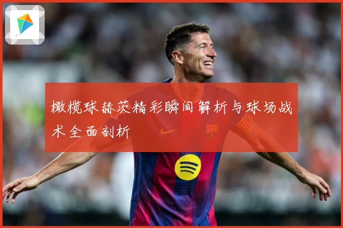 橄榄球赫茨精彩瞬间解析与球场战术全面剖析